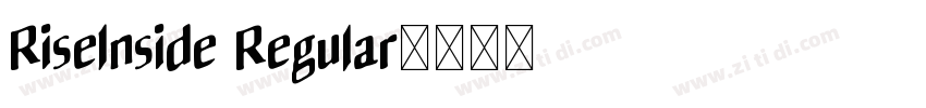 RiseInside Regular字体转换